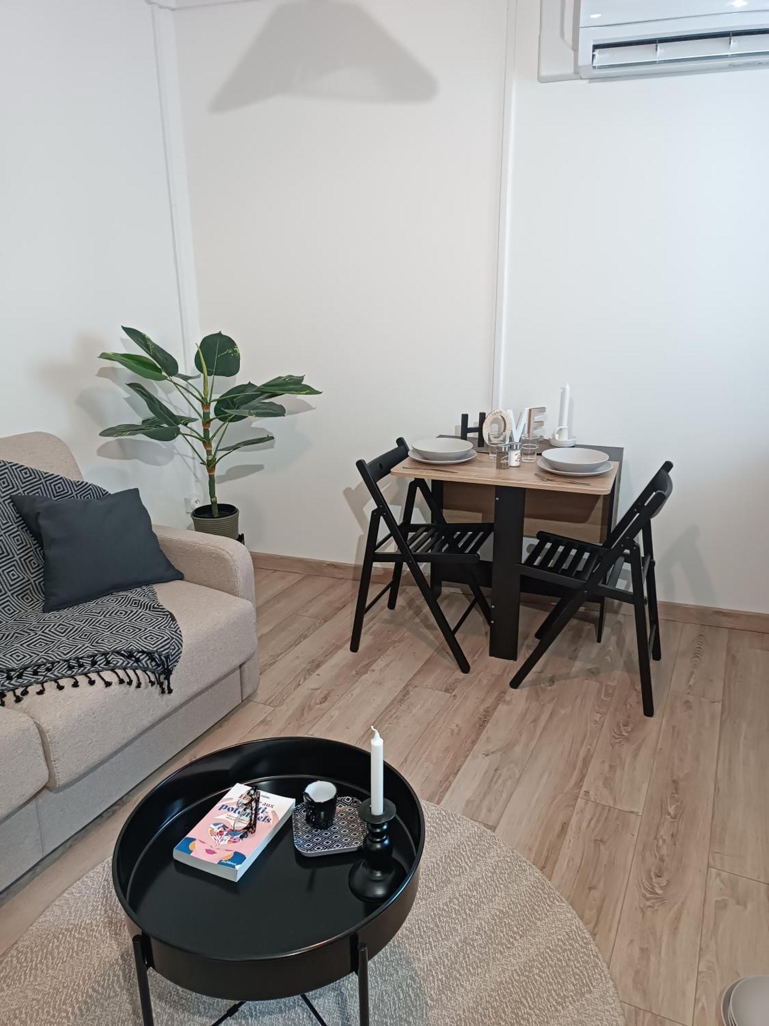 Totalement Meuble L'ethnique Appartement *